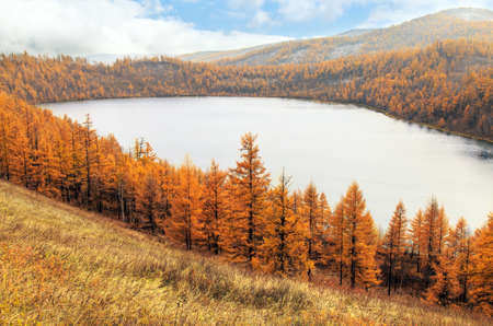 Autumn scenery in Arxan, Inner Mongoliaの写真素材