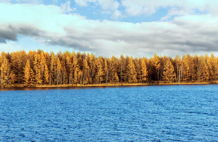 National Forest Park of Arxanの写真素材