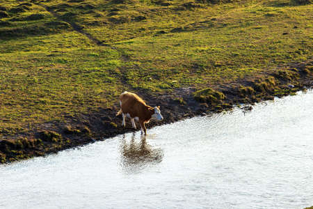 Landscape view of a grasslandの写真素材