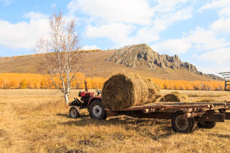 Autumn sceneryのeditorial素材