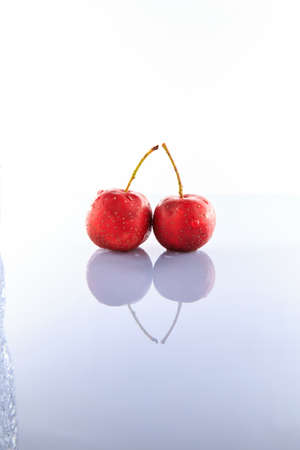 Hawthorn in white backgroundの写真素材