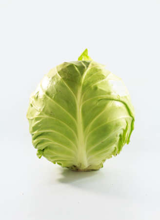 Chinese cabbageの写真素材