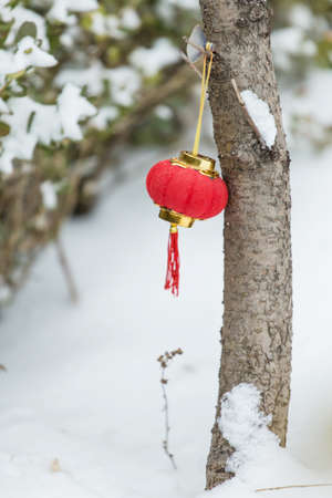 The red lanterns in the snowの写真素材