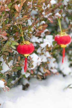 The red lanterns in the snowの写真素材
