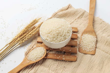 Harvested riceの写真素材