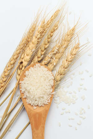 Harvested riceの写真素材