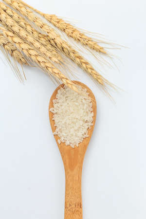 Harvested riceの写真素材