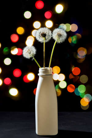 Dandelion flying