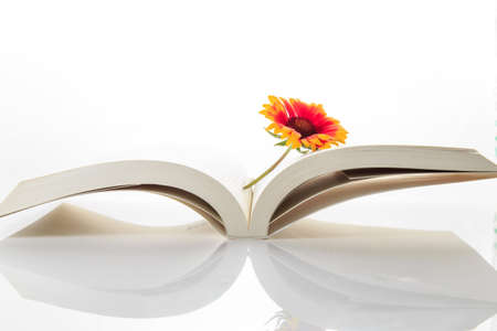 The flowers on the book