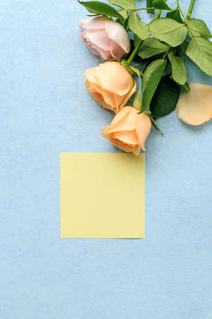 Roses and card isolated on blue backgroundの写真素材