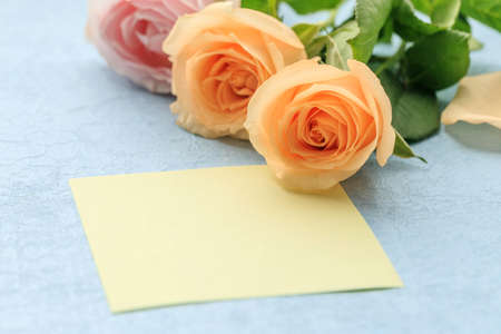 Roses and card isolated on blue background