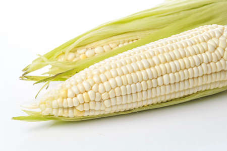 Corn on a white backgroundの写真素材