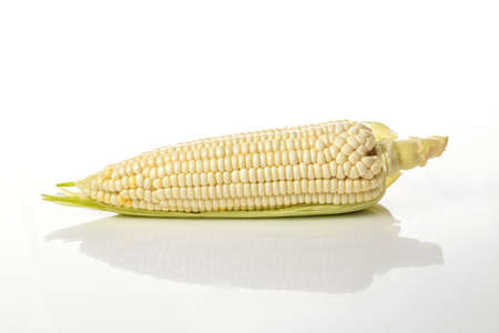 Corn on a white backgroundの写真素材