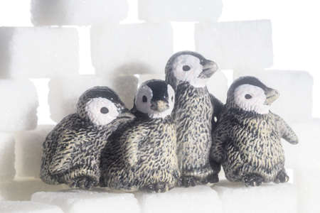white cubes with penguinsの写真素材