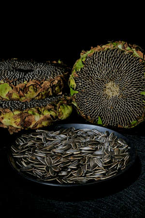 Sunflower Seedsの写真素材