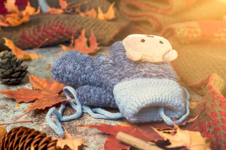 Children's gloves on the leaves