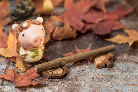 Pig doll traveling outdoorsの写真素材