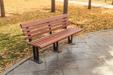 Bench in the park
