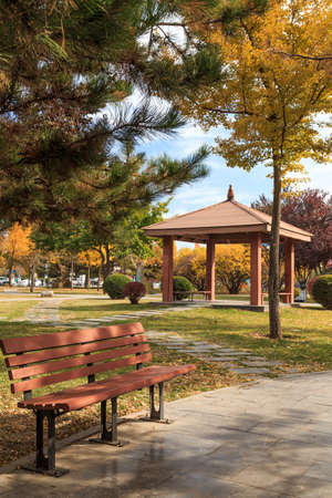 Bench in the park