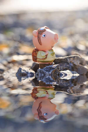 Pig doll traveling outdoorsの写真素材