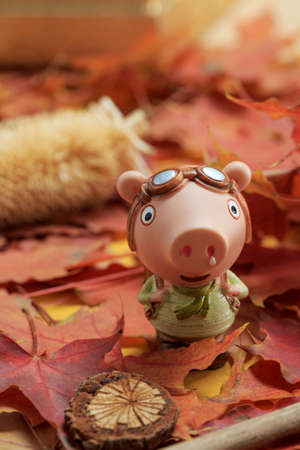 Pig doll traveling outdoorsの写真素材