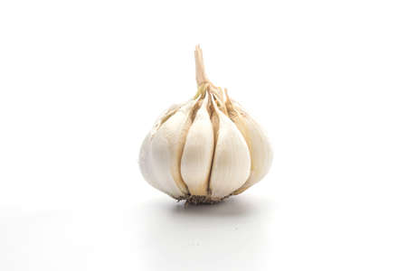 Garlic on white backgroundの写真素材