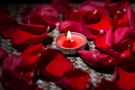 Roses and candleの写真素材