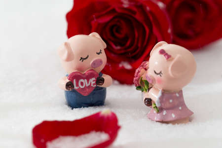 Pig doll in the snowの写真素材