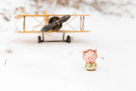 Pig doll in the snowの写真素材