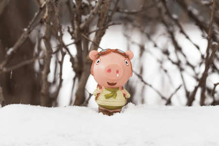 Pig doll in the snow