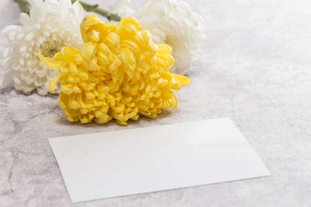 Chrysanthemums and black card