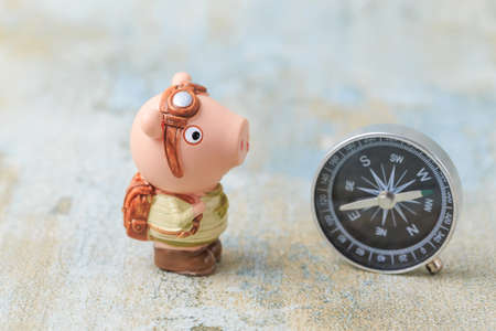 Pig doll with compassの写真素材