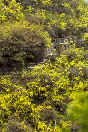 Baquan Gorge's fascinating natural landscape