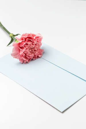 Carnation flower on an envelope