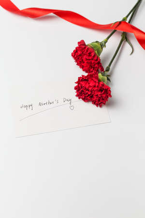 Happy Mother's Day card with carnation flowersの写真素材