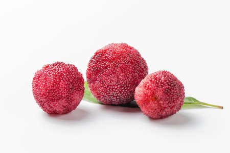 Fresh and delicious bayberry