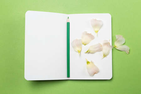 Book, petals and pencil on the tableの写真素材