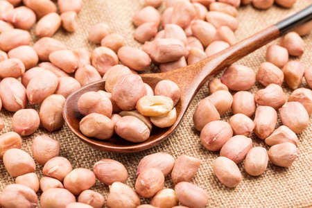 Peanut beans in white backgroundの写真素材