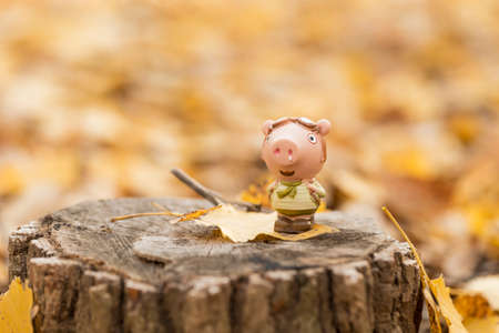 Piggy doll in fallen leavesの写真素材