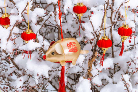 Red lantern and new year decoration in snowの写真素材