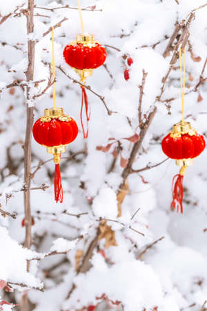Red lantern in the snowの写真素材