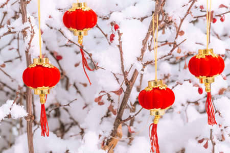 Red lanterns in the snowの写真素材