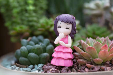 Miniature terrarium figurine and succulent plantsの写真素材