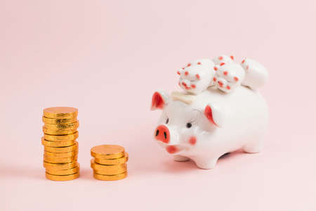 Piggy Banks and gold COINSの写真素材