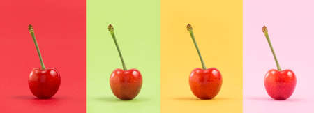 Fresh, delicious and nutritious cherries