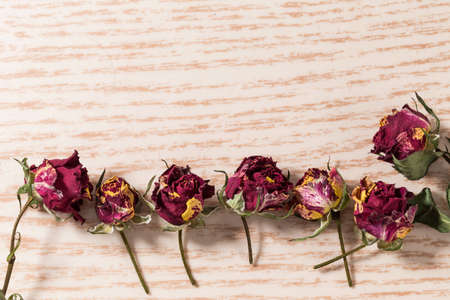 Withered rose flowersの写真素材