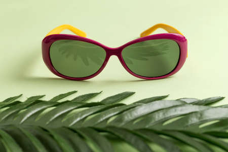 Sunglasses and leaf on a green backgroundの写真素材