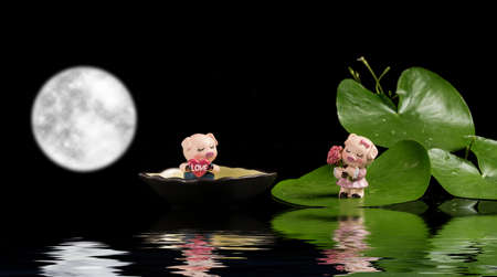 Two little pig dolls under the full moonの写真素材