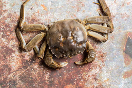 Fresh and delicious crabs