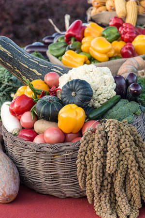 Vegetables on the tableの写真素材